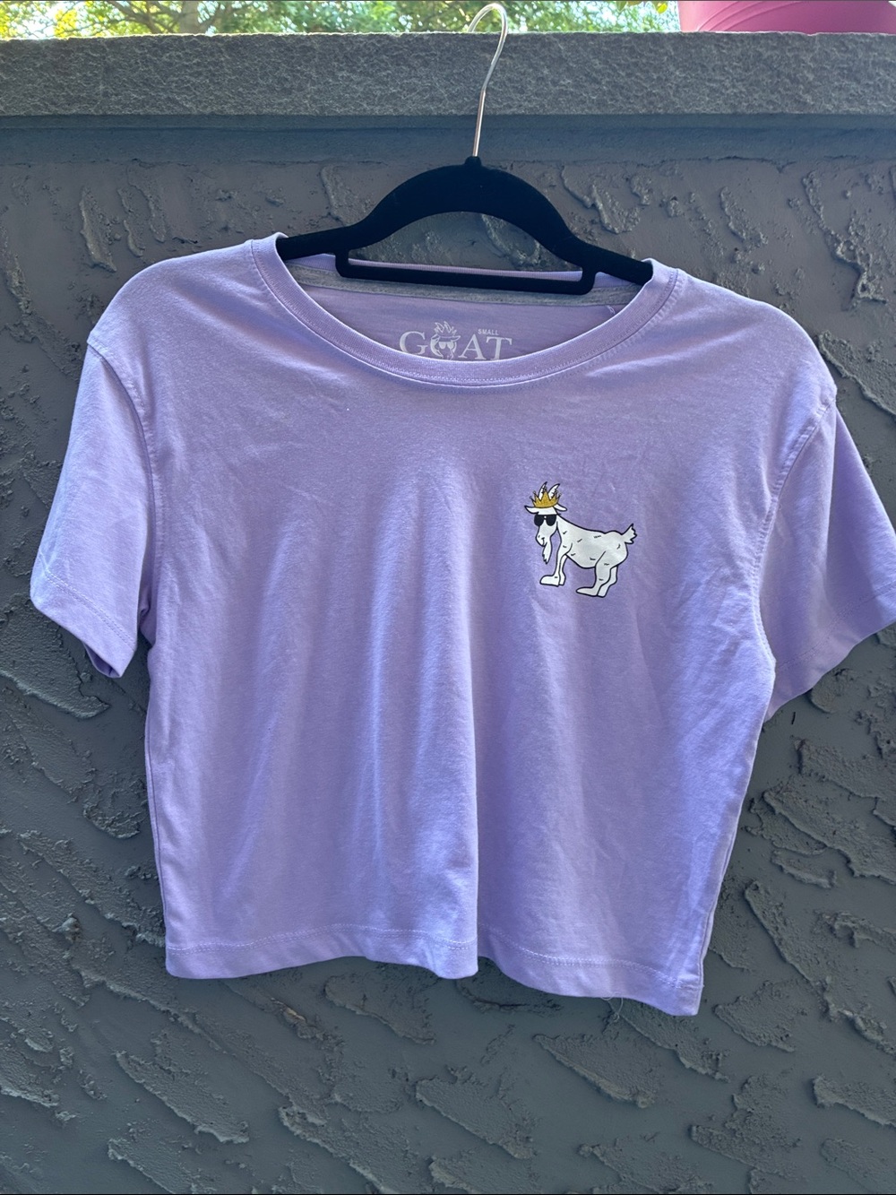 GOAT USA Lavender Cropped Tee for Women Sz S Never Worn
